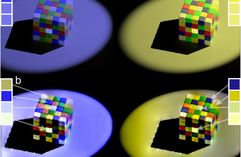  (a) shows the input image where the blue squares on the yellow-tinted side (right) and the yellow squares on the blue-tinted side (left) are physically the same grey. The SBL model (b) correctly predicts that the squares under both tinting regimes appear yellow and blue, rather than grey. (credit: Jolyon Troscianko and Daniel Osorio)