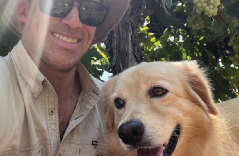 ERLE AND his faithful vineyard assistant, Chloe.