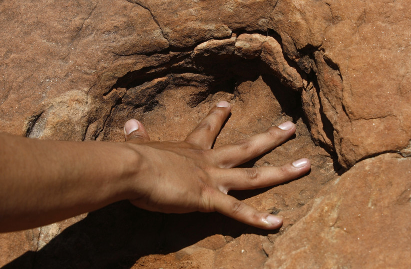 Bolivian amateur palaeontologist, Omar Medina, puts his hand in a dinosaur footprint in an area called Tunasniyoj (credit: DAVID MERCADO/REUTERS)