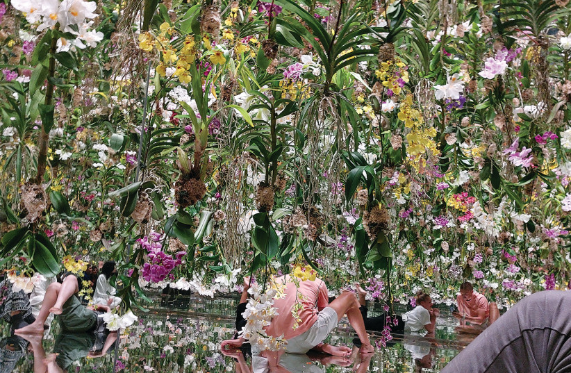 ONE OF the TeamLab Planets otherworldly installations.