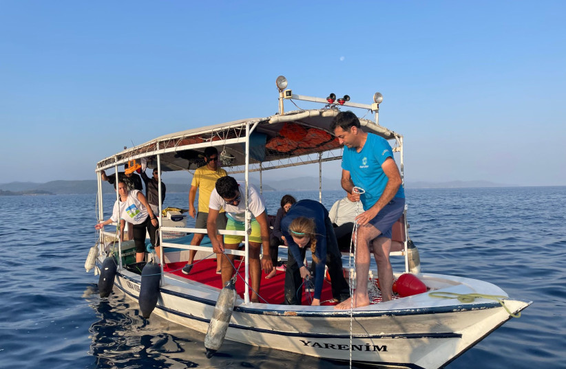 Dr. Scheinin and Dr. Livne prepare and deploy a bottom longline at 60 m depth in Boncuk Bay, Turkey, with assistance from the local Turkish team as part of the National Geographic Wayfinder grant and COST Association (credit: AKDENIZ KORUMA/MEDITERRANEAN CONSERVATION SOCIETY)