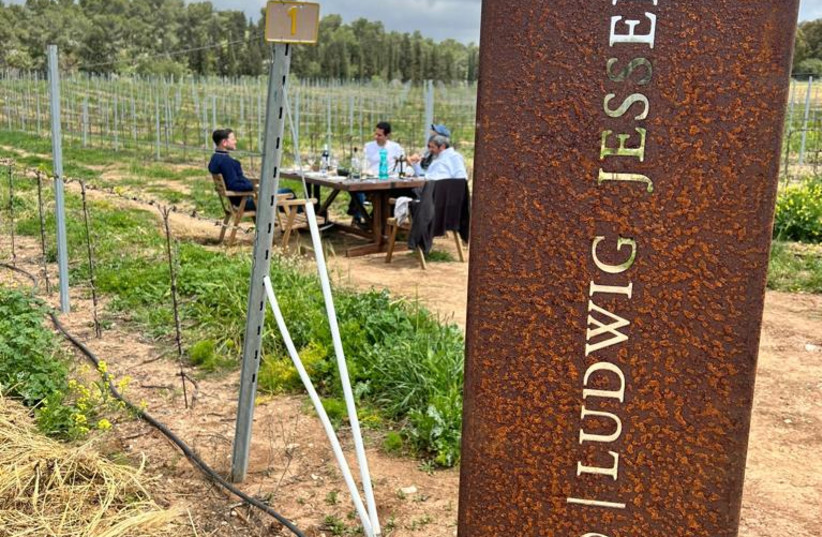 THE HANDSOME metallic signs denoting different plots of the Anava Vineyards.