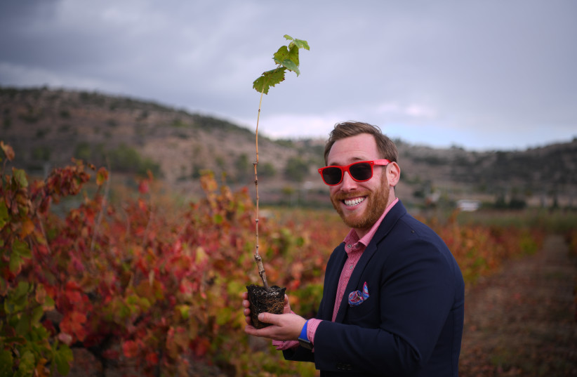  ADAM SCOTT BELLOS is the human dynamo behind Wine on the Vine.  (credit: Wine on the Vine)