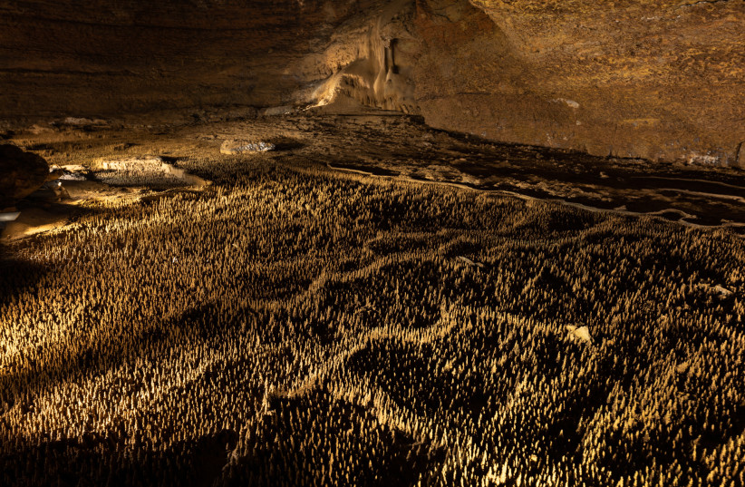  The '100,000 soldiers' in the Trabuc Caves. (credit: Wikimedia Commons)