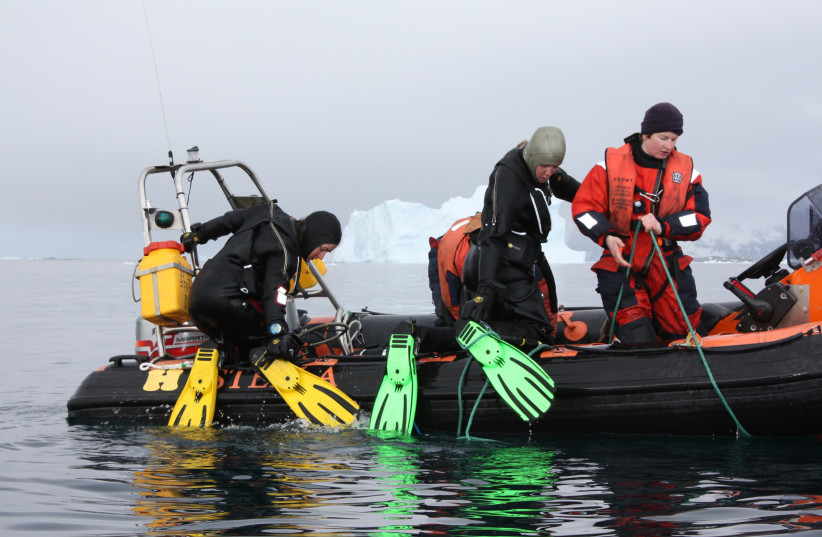 Antarctic divers emerge from icy waters off Antarctica after collecting marine samples (credit: REUTERS)