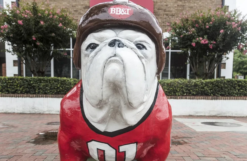  The bulldog, a breed of dog from the UK and the symbol of the University of Georgia college football team. (credit: RAWPIXEL)