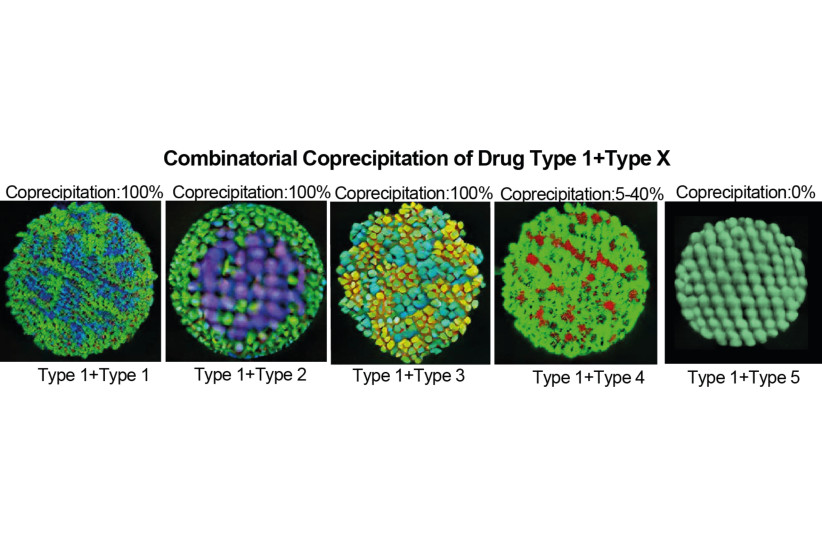  Drug synergy prediction produced by the model. (credit: TECHNION-ISRAEL INSTITUTE OF TECHNOLOGY)