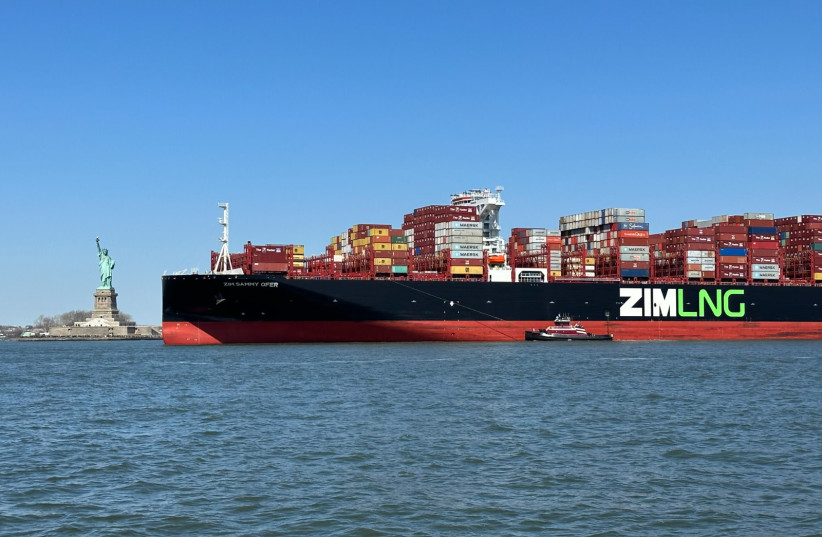  ZIM to dedicate ships for Israel's 'national needs' (credit: ZIM)