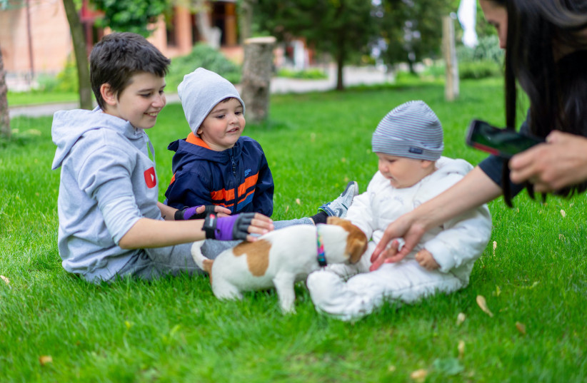  Children playing with a dog.  (credit: PEXELS)