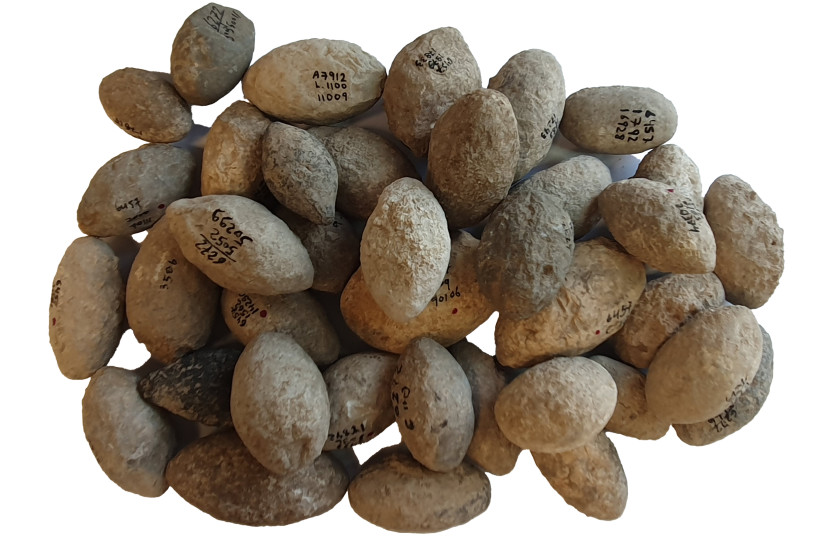 Pedras de funda de 'En Zippori