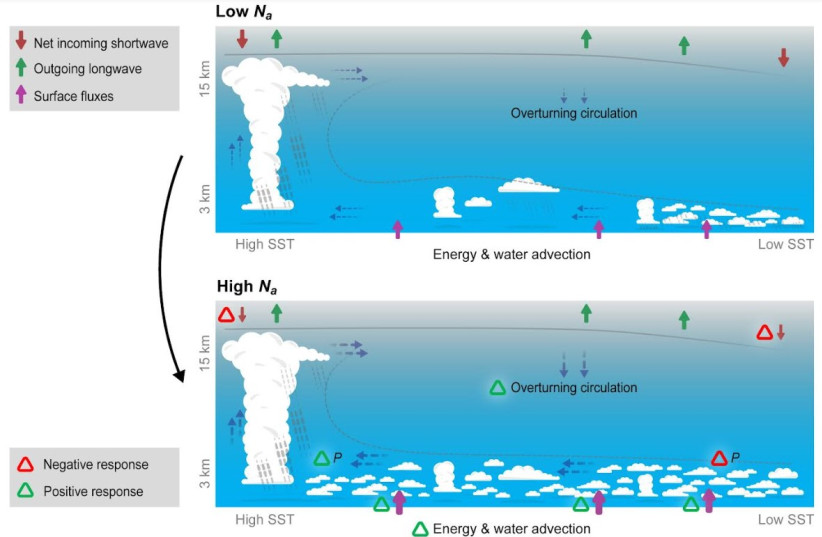 A schematic representation of the coupling between clouds and circulation in the tropics under clean conditions (top) and the response of this coupled system to an increase in air pollution concentration (bottom). (credit: Dr. Guy Dagan )