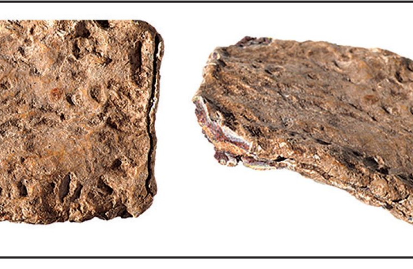  Front (left) and side (right) views of the Mt. Ebal lead object; scale 1:1 (credit: SHLOMI AMAMI, COURTESY OF THE STAFF OFFICER FOR ARCHAEOLOGY, CIVIL ADMINISTRATION, JUDEA AND SAMARIA)