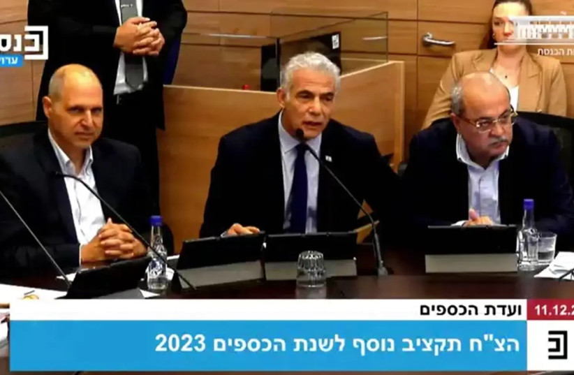  Finance Committee. The Knesset channel (credit: SCREENSHOT KNESSET CHANNEL)