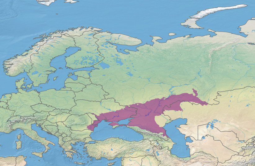  The Pontic–Caspian Steppe extends roughly from the Danube to the Ural River.  (credit: WIKIPEDIA)