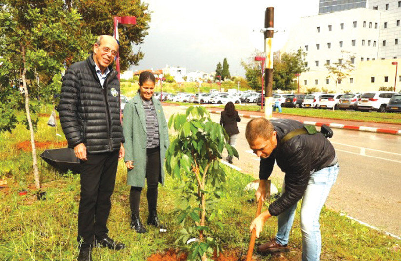  PROF. EITAN OKUN – who fought off terrorists as a member of the emergency standby squad at Kibbutz Alumim – plants a tree, as BIU President Prof. Arie Zaban and Dr. Shimrit Daches, who was evacuated from her home in Kibbutz Erez, look on. (credit: SHLOMO MIZRAHI)