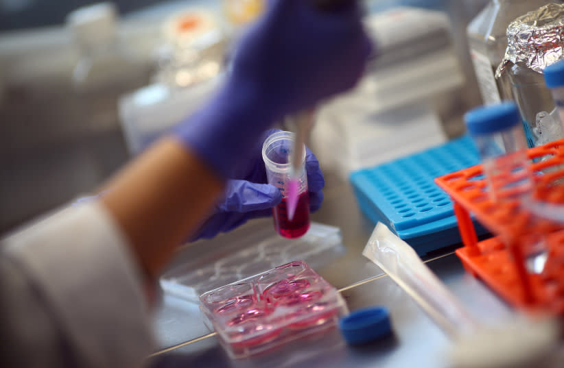  Un empleado trabaja con células madre en el laboratorio del doctor Ali Ertuerk en Múnich, Alemania 23 de abril de 2019. (credit: REUTERS/MICHAEL DALDER)