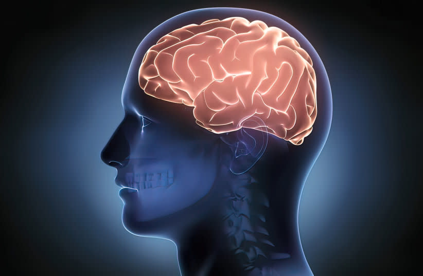 Ilustración de un cerebro.