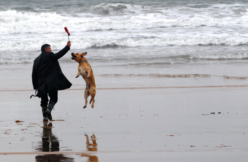  A cynophile plays with his ‘best friend.’  (credit: Hugo Correia/Reuters)