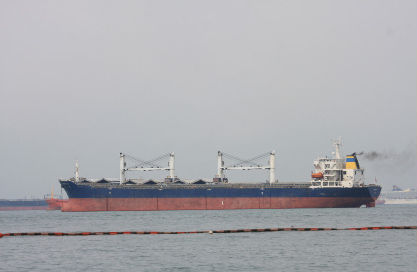  Bulk carrier 31167 tons (credit: REUTERS)