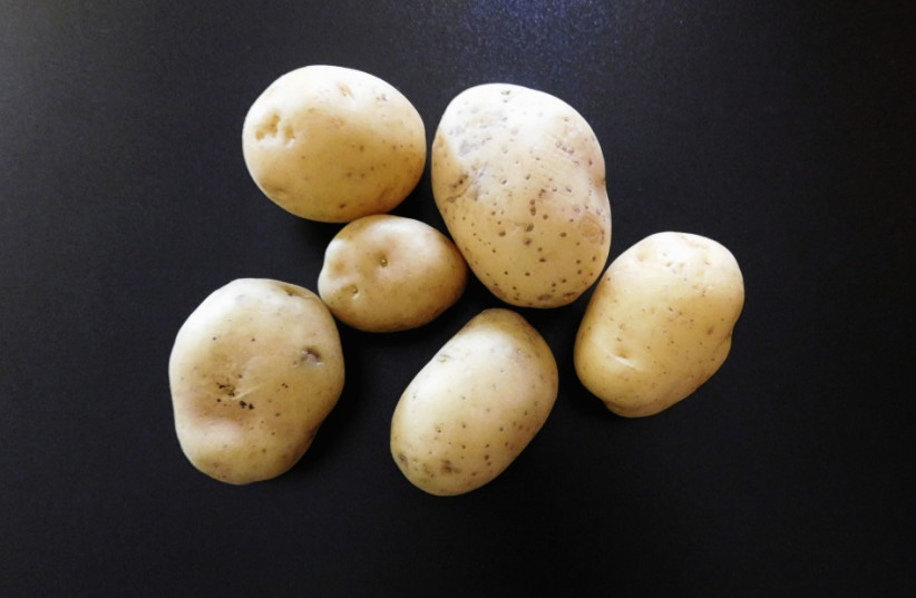 Potatoes (credit: INGIMAGE)