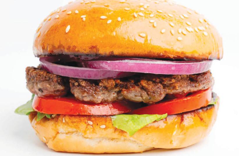  Wingz: American fast food in Israel (credit: Wingz)