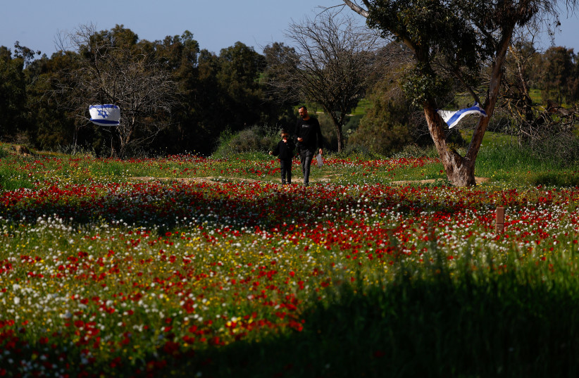  A man and a boy walk past Israeli flags over a field of wildflowers blooming at the site of the Nova festival where people were killed and kidnapped during the October 7 attack by Hamas gunmen from Gaza, amid the ongoing conflict between Israel and the Palestinian Islamist group Hamas, in Reim, sou (credit: SUSANA VERA/REUTERS)