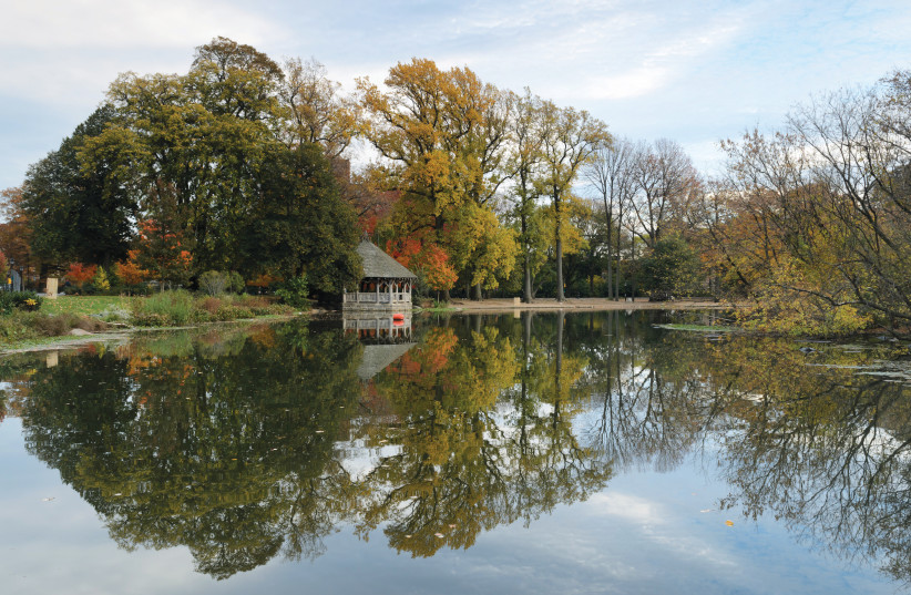  THE LAKE at Prospect Park, Brooklyn.  (credit: Wikimedia Commons)