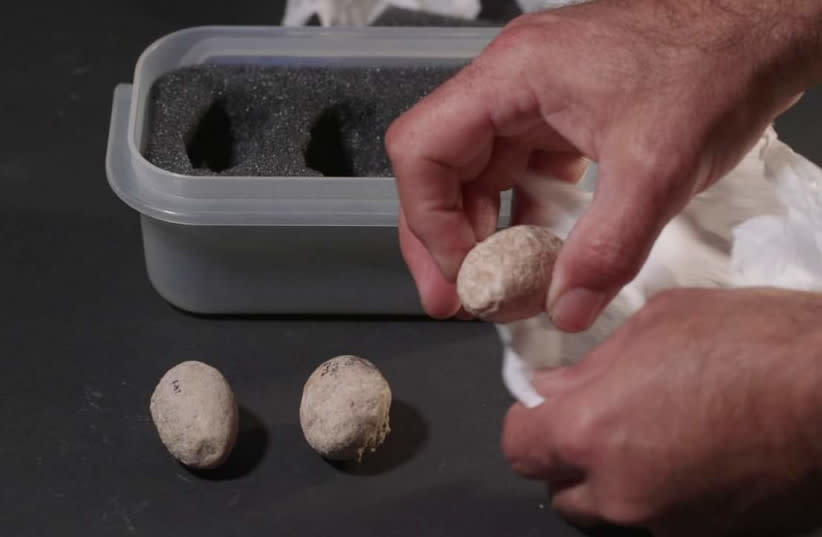  Se descubren piedras de honda de 7.000 años de antigüedad en Israel. (credit: EMIL ALADJEM/ISRAEL ANTIQUITIES AUTHORITY)