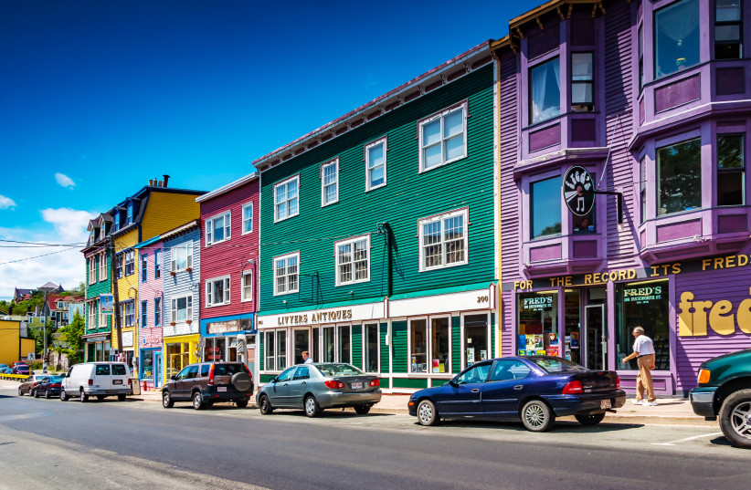  Newfoundland. (credit: Wikimedia Commons)