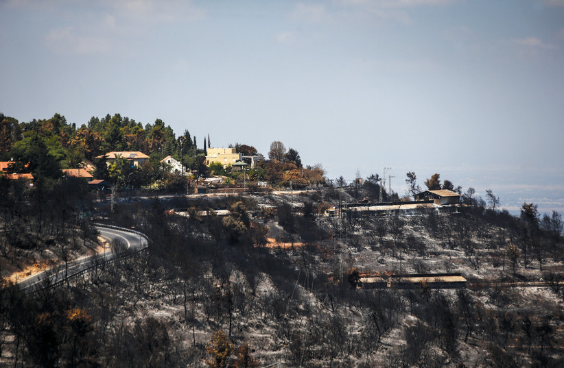  A view of a burnt forest following a wildfire near Ramat Raziel in 2021. (credit: RONEN ZVULUN/REUTERS)