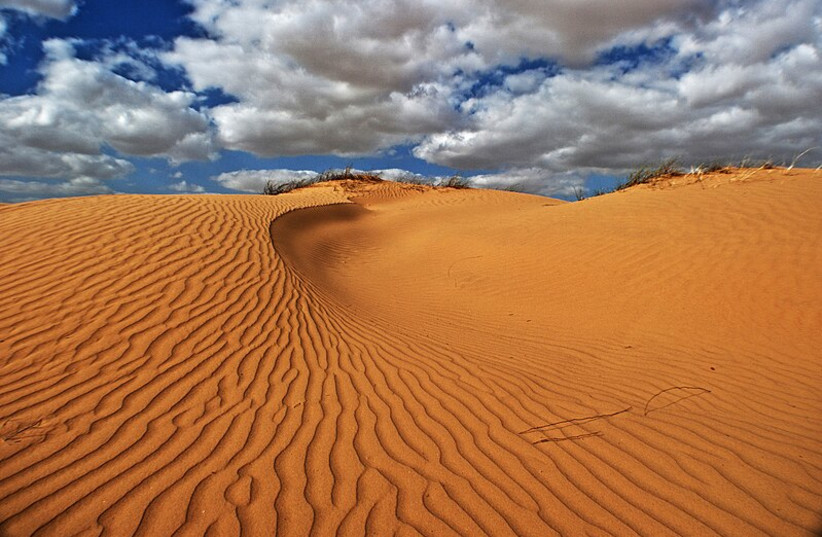  Israel sand dune (credit: Wikimedia Commons)