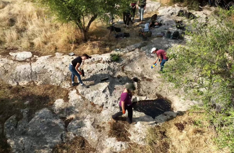  Teenage boys and girls work at the excavation. (credit: Emil Aladjem, Israel Antiquities Authority)