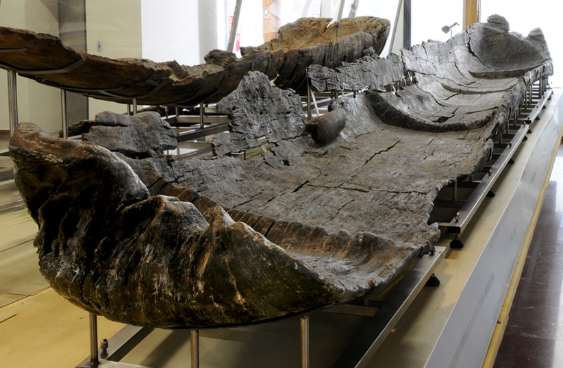  A 7,000-year-old canoe unearthed underwater near Rome. (credit: GIBAJA ET AL., PLOS ONE)