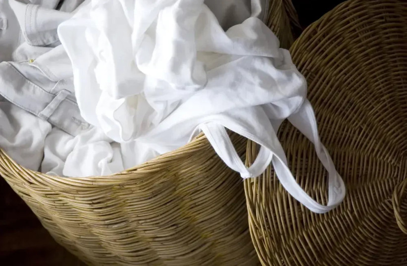   This is how you will remove stains and return the whiteness to clothes  (credit: SHUTTERSTOCK)