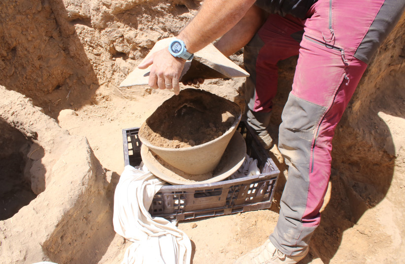  The broken ivory vessel deposited within the large basalt bowls. (credit: Davida Dagan, Antiquities Authority)