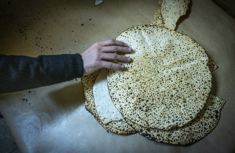  Ultra Orthodox Jews prepare Matza, traditional unleavened bread eaten during the 8-day Jewish holiday of Passover, in Jerusalem on April 9, 2024. (credit: CHAIM GOLDBEG/FLASH90)