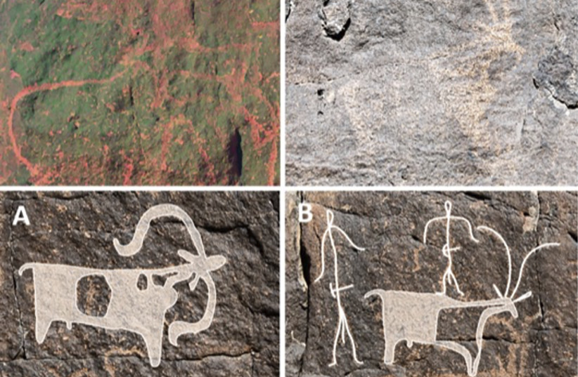  Species identifiable in the rock art of Umm Jirsan (credit: PLOS ONE)