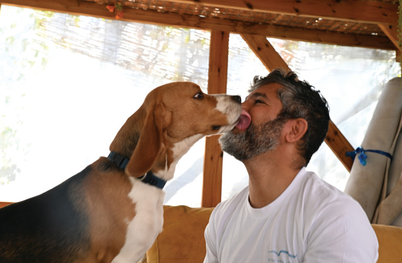  DOG TRAINER Nadav Abu gets a kiss from Toto the Beagle in the kennel.   (credit: DAVID ZEV HARRIS)