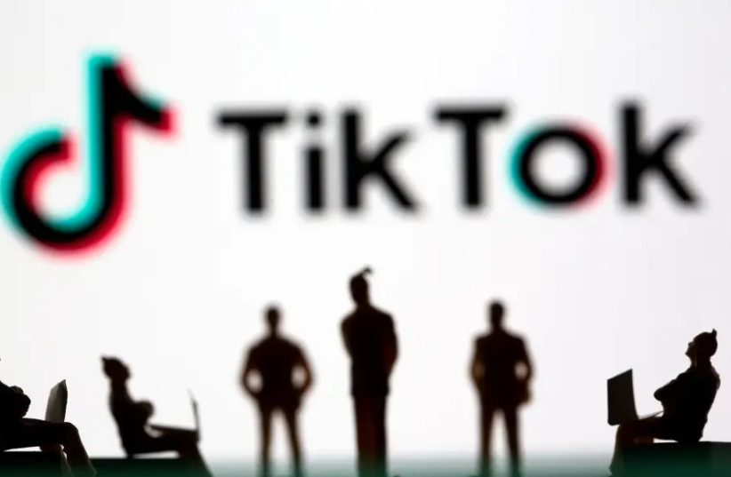  tiktok In Chinese society, they intend to fight (illustration)  (credit: REUTERS)