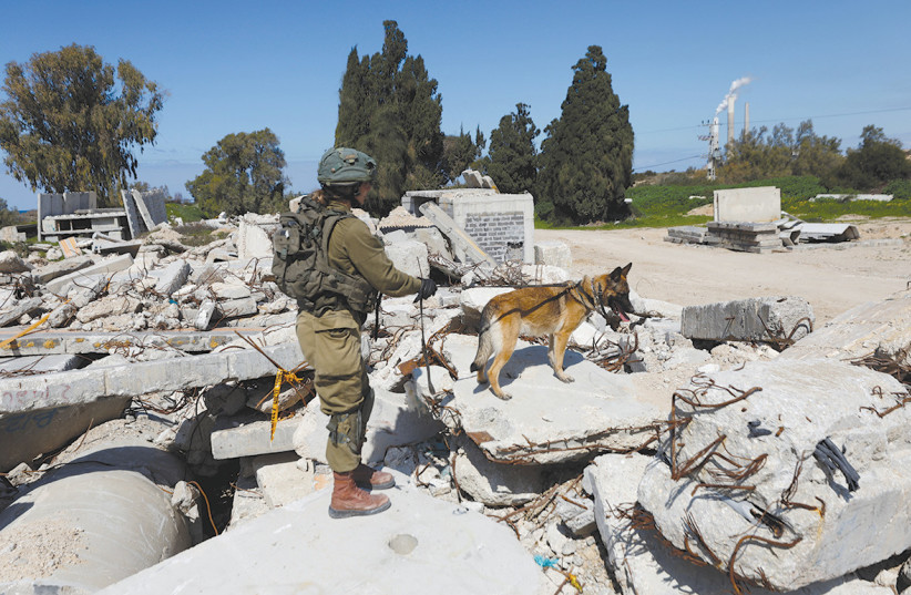  An IDF soldier from the Oketz Canine Unit trains her dog to find people trapped under rubble, near a military base close to Ashkelon.  (credit: AMIR COHEN/REUTERS)