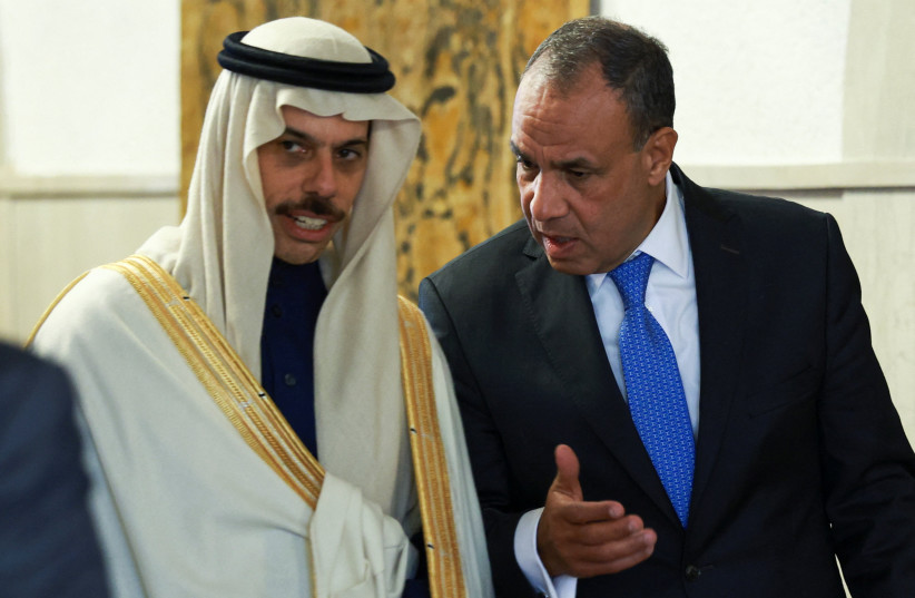 Saudi Foreign Minister Prince Faisal bin Farhan Al Saud (L) and Egyptian Foreign Minister Badr Abdelatty (R) speak in Slovenia, February 6, 2026; illustrative.
