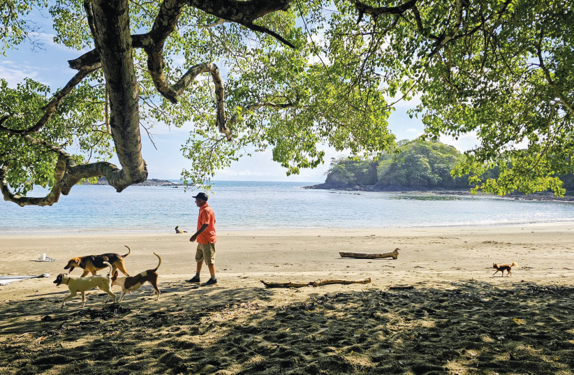 Along this quiet Pacific shoreline, everyday life unfolds against a coastline that feels like a remote edge of the world.