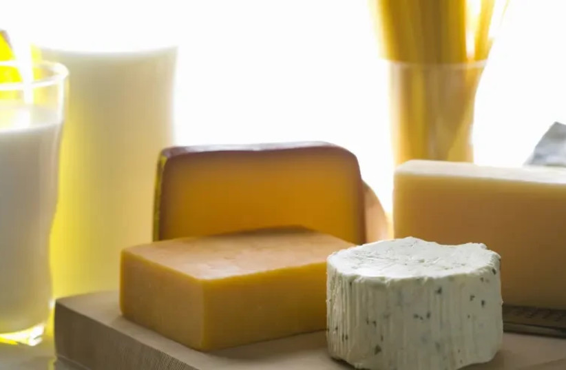 Dairy products