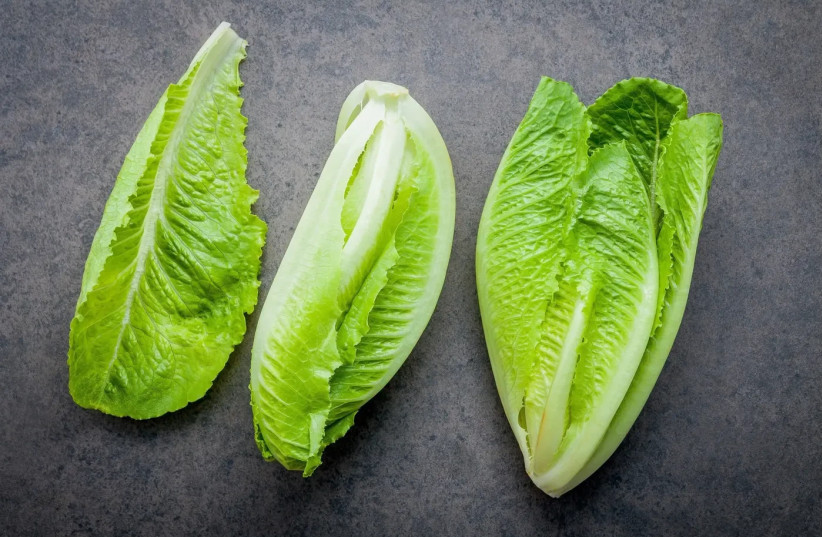 Replacing bread with vegetables such as roasted eggplant, baked sweet potato or lettuce leaves is a simple way to consume more vegetables and enrich the menu with vitamins, minerals and fiber