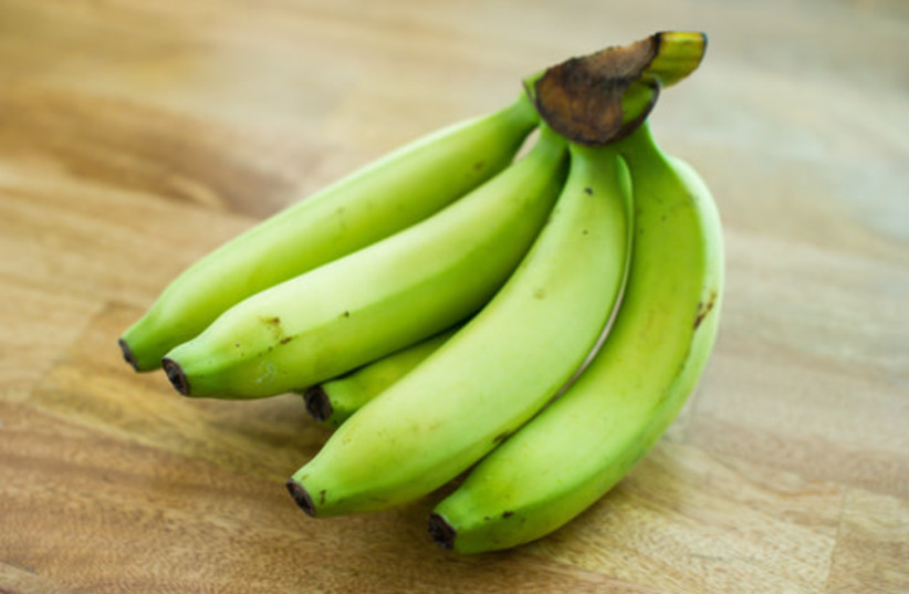 The green banana has a lower glycemic index compared to the yellow banana