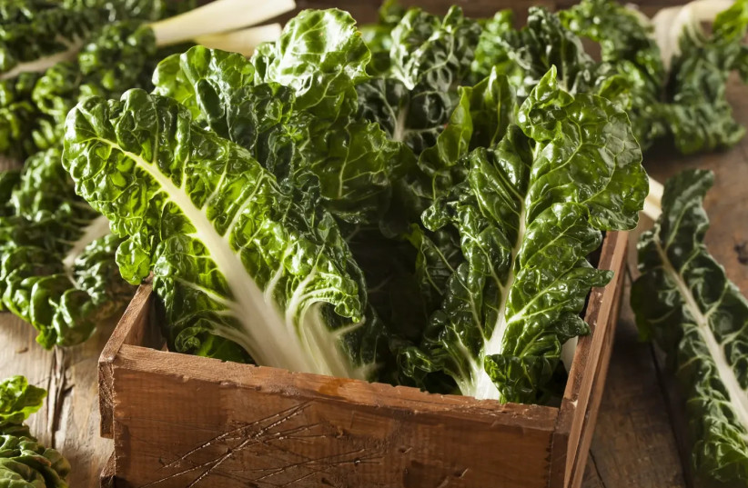 Leafy greens are not just “healthy foods,” but part of a deep mechanism that connects the gut and the brain