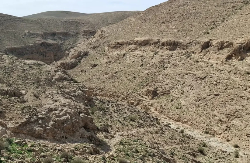 Nahal Abuv