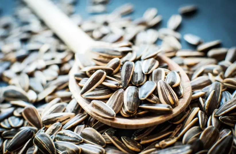 Sunflower seeds are one of the most convenient and cost–effective sources of vitamin E