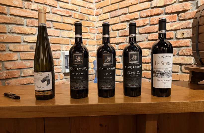 PART OF the kosher selection at the Carlevana Winery.