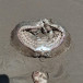  Strange looking sea creature